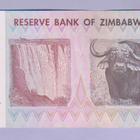 Zimbabwe 10 Dollars v.2007 UNC P-65 - pikkukuva 2