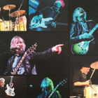 Savoy Brown - City Night (uudenveroinen CD) - pikkukuva 2