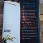 Taina Haahti - Puhdas kertomus - pikkukuva 2
