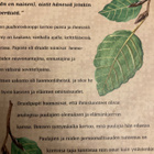 DRUDIEN PUUHOROSKOOPPI - pikkukuva 2