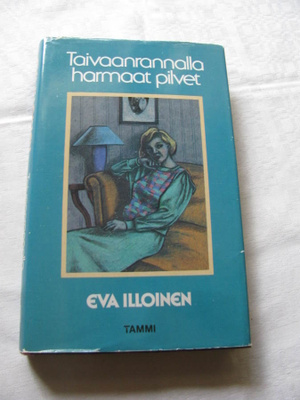 Eva Illoinen Taivaanrannalla harmaat pilvet