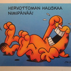 KULKENUT JIM DAVIS NIMIPÄIVÄKORTTI KARVINEN  KERÄILIJÄLLE - pikkukuva 1
