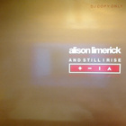ALISON LIMERICK : AND STILL I RISE : VINYYLI MAXI DJ PROMO - pikkukuva 1