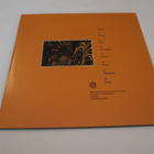 Dorisburg - Irrbloss -2LP *RARE 2016 DEEP HOUSE TECHNO* - pikkukuva 2