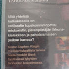 PAHOLAISEN SILMÄT (Stephen king) UUSI*** - pikkukuva 3