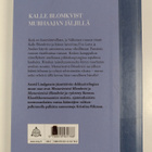 Astrid Lindgren : Mestarietsivä Blomkvist vaarassa - pikkukuva 2