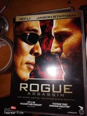 Rogue assassin