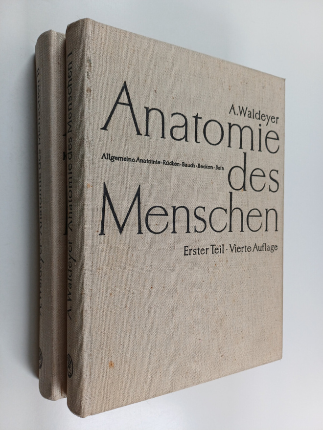 A. Waldeyer : Anatomie des Menschen fur Studierende und Ä...