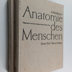 A. Waldeyer : Anatomie des Menschen fur Studierende und Ä... - pikkukuva 1
