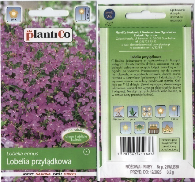 Lobelia vaaleanpunainen "Ruby" - HUOM PÄiVÄYS! Ale -30%##