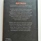 Loeb, Jeph & Sale, Tim: Batman: Riivattu Ritari - pikkukuva 2