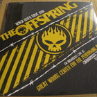 The Offspring WBCN River Rave 1998 lp muoveissa - pikkukuva 1