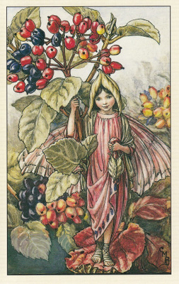Cicely Mary Barker: Kukkakeijut villaheisi