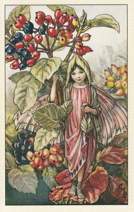 Cicely Mary Barker: Kukkakeijut villaheisi