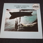 Tony Banks (Genesis) - A Curious Feeling LP - pikkukuva 1