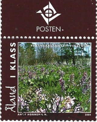 ÅL 2004 Ahv. maisemia 1. lk välilöpari logo EPL LaPe 242