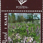 ÅL 2004 Ahv. maisemia 1. lk välilöpari logo EPL LaPe 242 - pikkukuva 1