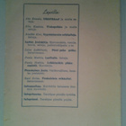 Lasten Joulukirja 1945 - pikkukuva 5