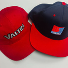 Valtra & Sisu lippikset - uudet. - pikkukuva 1