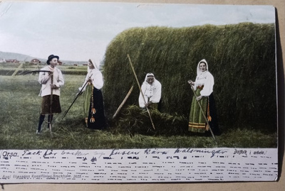 Orsa, Taalainmaa, väkeä heinätöissä, haasia, p. 1903