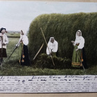 Orsa, Taalainmaa, väkeä heinätöissä, haasia, p. 1903 - pikkukuva 1