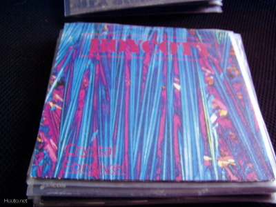 BOYCOTT - CRYSTAL / FORGIVE 7" VINYYLI