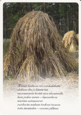 Ruiskuhilaat.