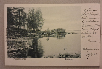 Kuopio: Puijonsarvi * (273)