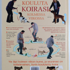 Colin Tennant : Kouluta koirasi kolmessa viikossa - pikkukuva 2