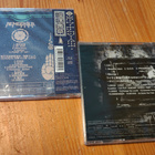 Nemophila Gozo & Beautiful days EP:t - pikkukuva 2