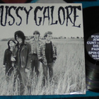 PUSSY GALORE ~ Groovy Hate Fuck ~ LP Jon Spencer - pikkukuva 1