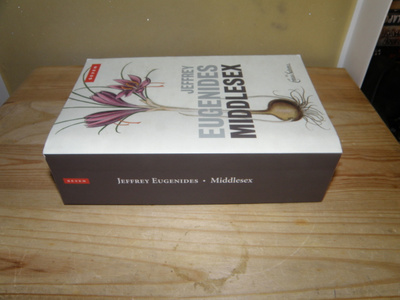 Jeffrey Eugenides Middlesex (nidottu)