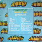 (LP) Pihasoittajat - Kontaten Kotia - pikkukuva 2
