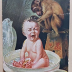 A. von Riesen: Liioiteltu lemmenpalvelus... p. 1919 - pikkukuva 1