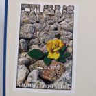 Stig Ramel : Kustaa Mauri Armfelt 1757-1814 : Ruotsissa k... - pikkukuva 2