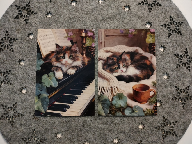 ~Kissa kortti~ 2kpl