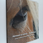 Hevoset ja kunta : rajapintoja - pikkukuva 1