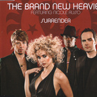 The Brand New Heavies • Surrender CD-Single - pikkukuva 1