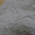 icepeak shortsihame - pikkukuva 2