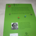 Lindgren - Nyman Pippi im Park - pikkukuva 5