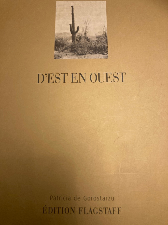 PATRICIA DE GOROSTARZU: D’EST EN OUEST