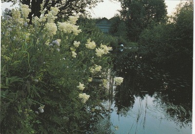 Postikortti, Vimpeli, Poikkijoki