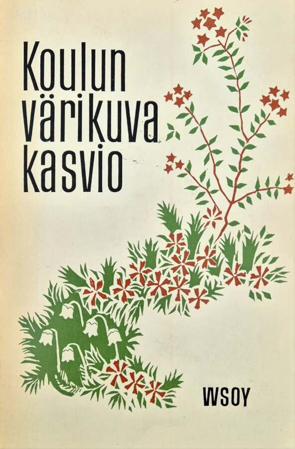 Heikki Vääninen: Koulun värikuvakasvio
