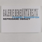 Galerie Benedikta Rejta : Noprodane obrazy 24.05.2008 - 1... - pikkukuva 2