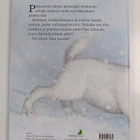 Pirkko-Liisa Surojegin ym. : Pikkupöllö - pikkukuva 2