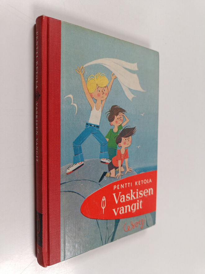 Pentti Ketola : Vaskisen vangit : poikamainen robinsonadi