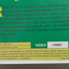 VHS: Robin Hood (1972/1993) - pikkukuva 3