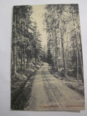 VANHA Postikortti Lohja Vaanila 1900-luku