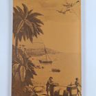 Florence Lewisohn : Tales of Tortola and the British Virg... - pikkukuva 2