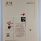 Dzalaladdin Rumi : Kauppias ja papukaija - pikkukuva 2